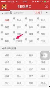 今日头条分类怎么填写,如何撰写引人注目的副标题