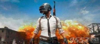 绝地求生视频爆料在哪看,独家观看指南