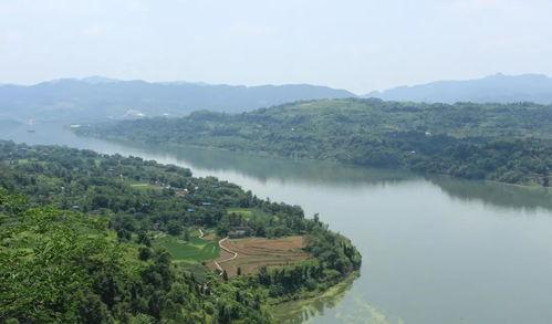 湖北后河新闻头条,探寻生态之美，守护绿色家园