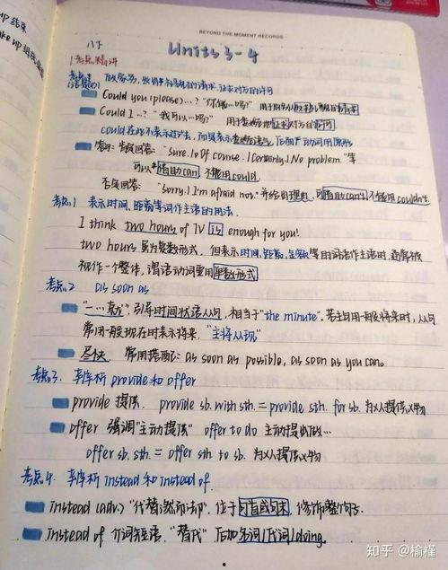 网红体怎么写,揭秘网络红人的崛起与影响力