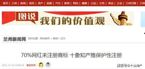 网红知识产权,知识产权的挑战与机遇