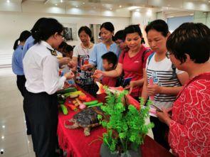 深圳文锦渡新闻头条,聚焦文锦渡口岸新动态，共话区域发展新篇章