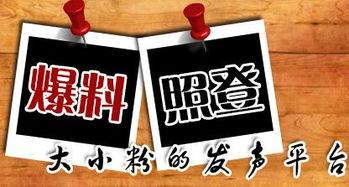 湖北爆料台最新新闻,聚焦民生热点，揭示社会现象