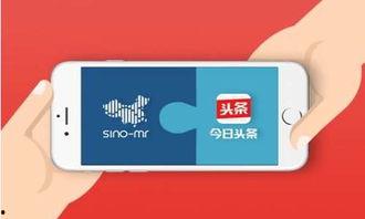 头条问答有什么权益,解锁知识分享新境界