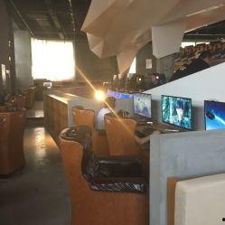 红猪网咖法人,法人生涯的奇幻旅程