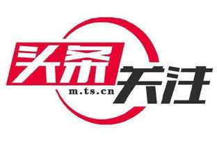 成都龙池新闻今日头条,聚焦龙池镇最新动态与热点事件