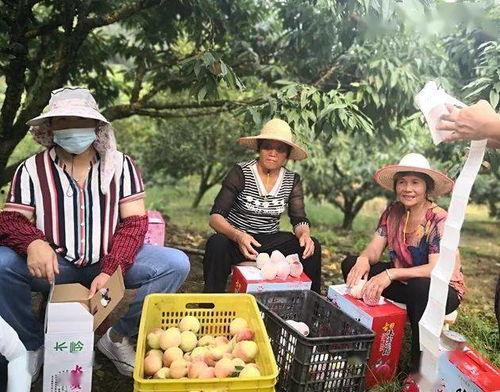 潮连网红路,探寻城市新地标的风情画卷