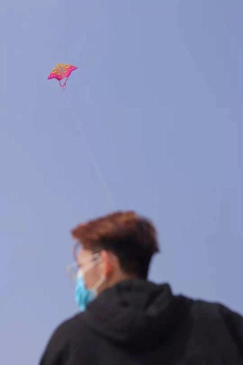 追剧式吃瓜,跟随剧情吃瓜，揭秘娱乐圈幕后风云