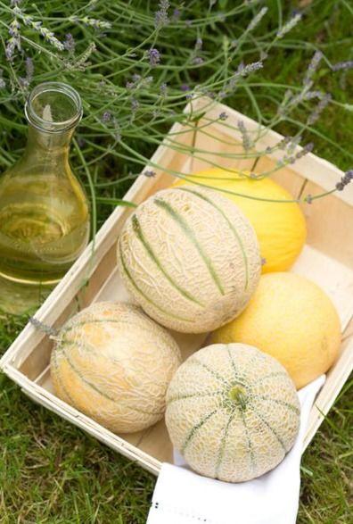 白棒瓜可以吃吗,揭秘其食用价值与食用方法