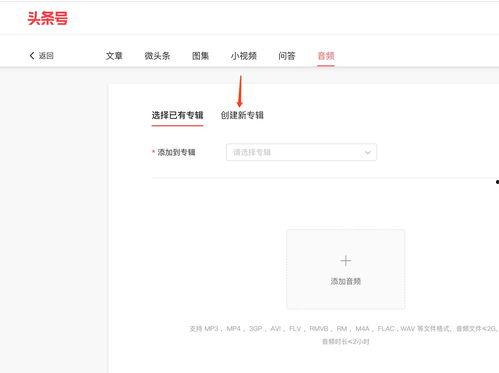 头条音频从哪看收益
