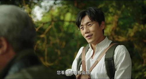 吃瓜的小曲儿,网络红人的崛起与影响力