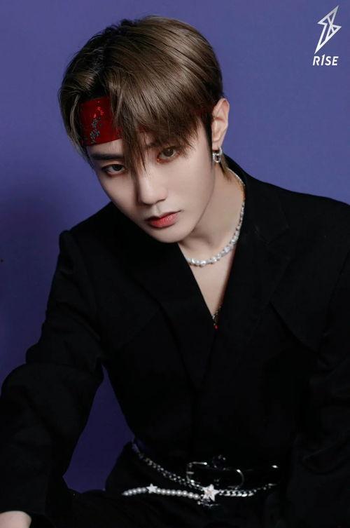 明星小星,闪耀星途，璀璨人生