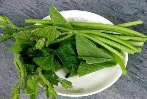 信阳吃瓜事件,一场网络舆论的风波与反思