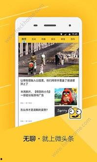 微头条网络工程,构建高效便捷的数字桥梁