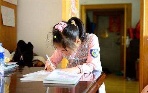 何老师玩游戏吃瓜猜题,趣味横生揭秘谜题背后的故事