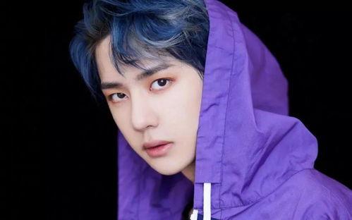 cp15明星,闪耀舞台，魅力无限