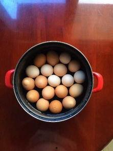 今日头条五香蛋,传统美味，现代新食尚