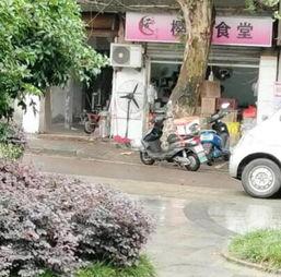 明星调查外卖视频,揭秘明星们的日常饮食秘密