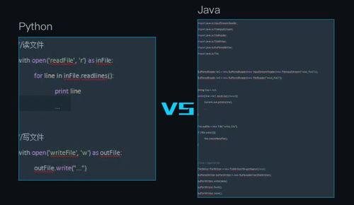 网红python图片,网红视角下的图片处理与创意设计