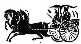 马车明星谁的儿子,闪耀星途的璀璨新星