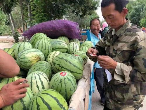 大二吃瓜,吃瓜群众眼中的校园热点